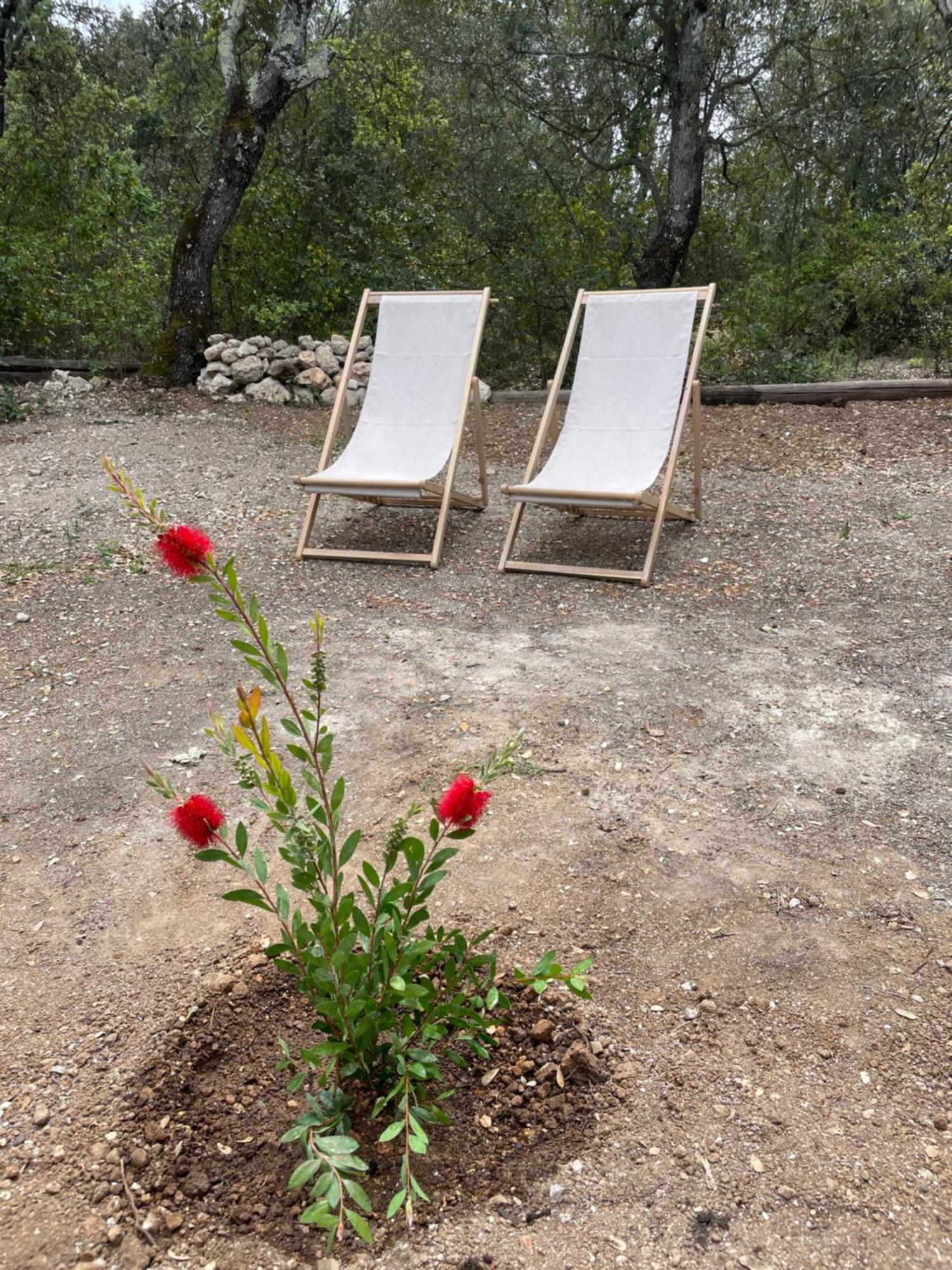 La Parenthese Du Var - Chambre D'Hotes Petits Dejeuners Inclus Et Terrasse Ombragee Saint-Antonin-du-Var Экстерьер фото